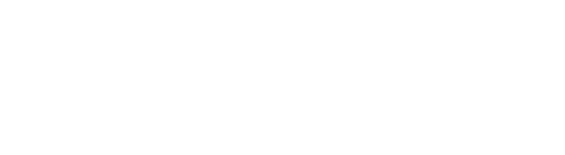 slaskibiznes
